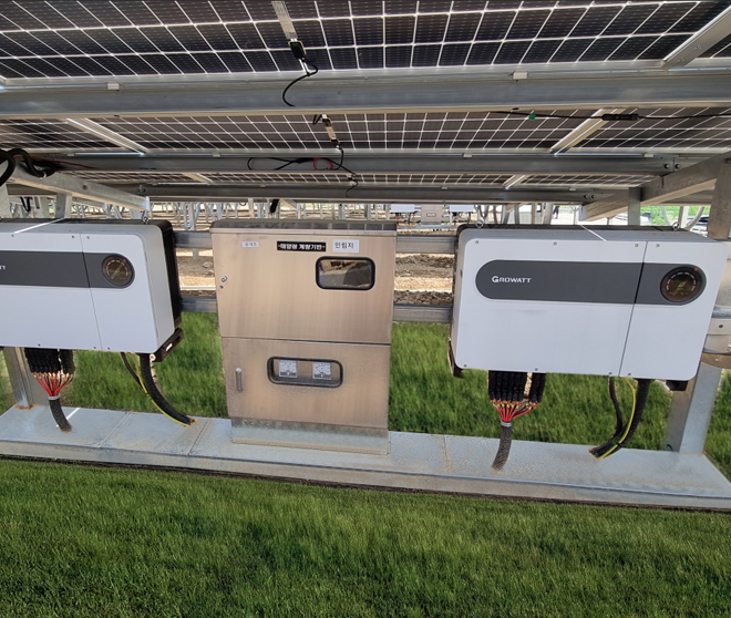 古瑞瓦特，讓貧瘠之地灑滿“綠光”