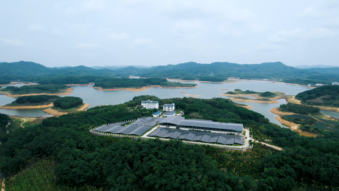 古瑞瓦特“特優(yōu)電站”案例 古瑞瓦特“特優(yōu)電站”案例