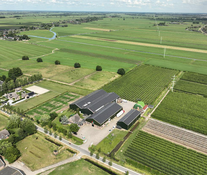 【古瑞瓦特】綠電走世界|荷蘭水果種植農(nóng)場(chǎng)光伏電站